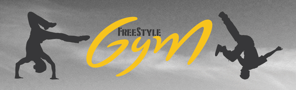 1504690534 1464344244 mea freestyle gym
